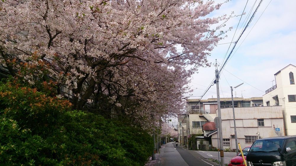 Shoei Daini Bekkan Kōchi Extérieur photo