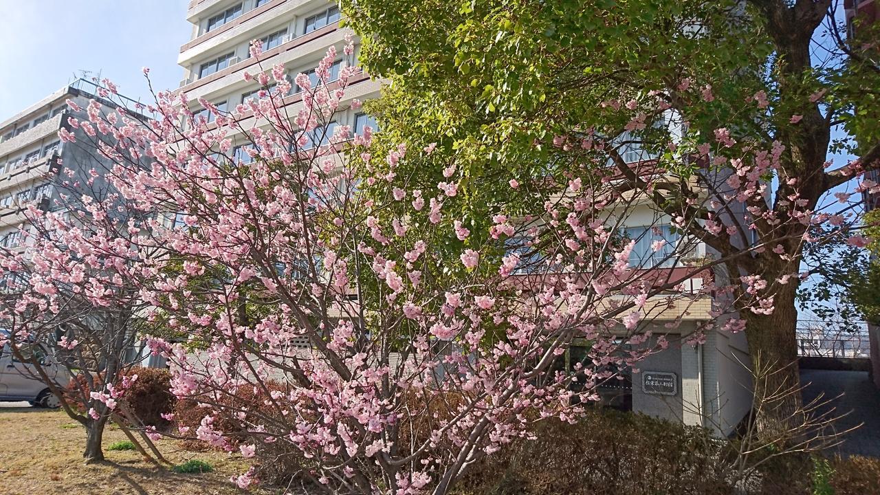 Shoei Daini Bekkan Kōchi Extérieur photo